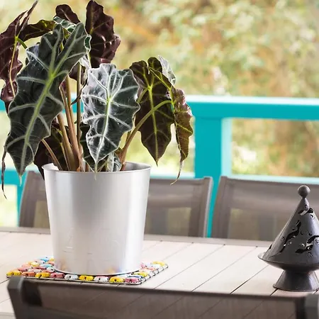 Atlantic Selection - Ene Etchola - Proche Du Port De Apartment