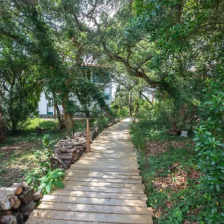 Apartment Atlantic Selection - Ene Etchola - Proche Du Port De *