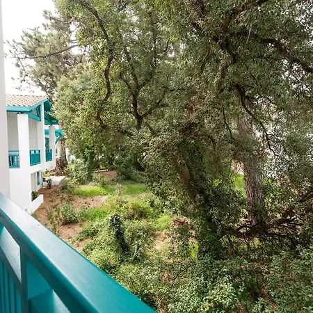 Atlantic Selection - Ene Etchola - Proche Du Port De Capbreton