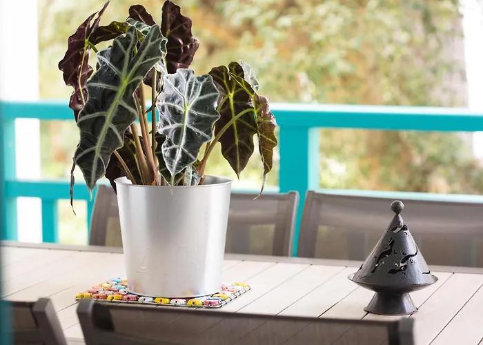 Atlantic Selection - Ene Etchola - Proche Du Port De Διαμέρισμα