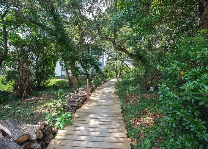 Διαμέρισμα Atlantic Selection - Ene Etchola - Proche Du Port De *